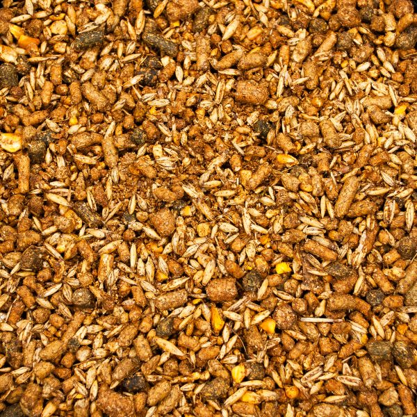 Carolina Pride 16% Sweet Goat - Image 3