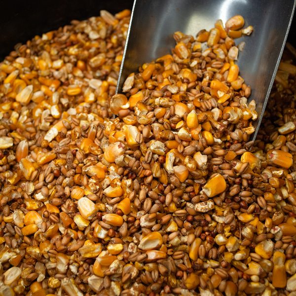 Carolina Pride Scratch Grains - Image 2