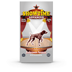 ShowTime Advanced 31/22