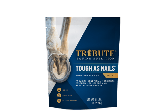 Tribute Equine Nutrition Tough as Nails