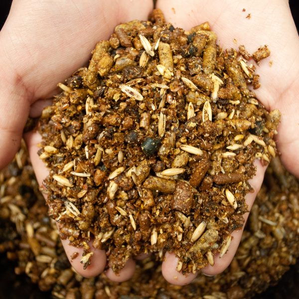 Amber Grains Elite Low Starch - Image 2