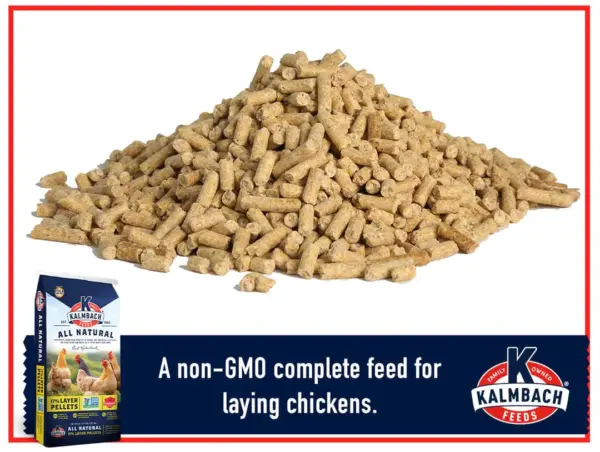 Kalmbach non-GMO Layer Pellet - Image 2